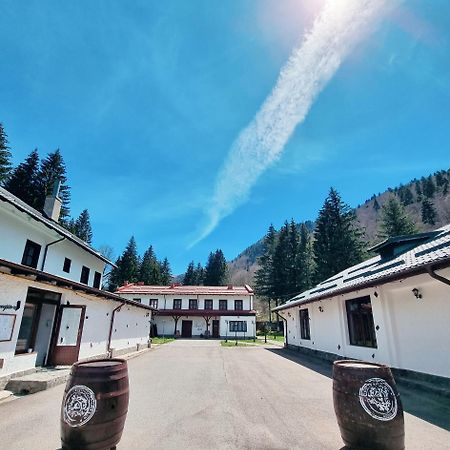 Pensiunea Rhein Azuga Exteriör bild