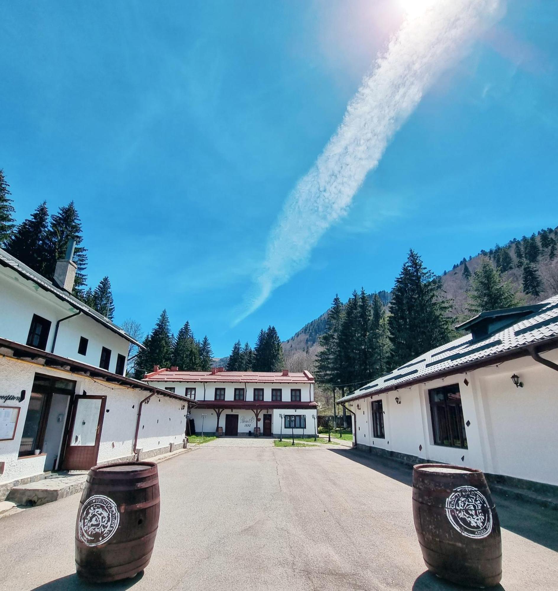 Pensiunea Rhein Azuga Exteriör bild